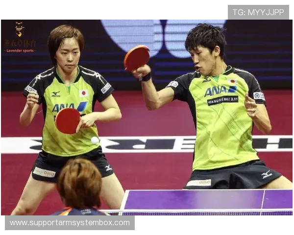 成都与深圳乒乓球队赛后分析灵活性对比与战术调整探讨