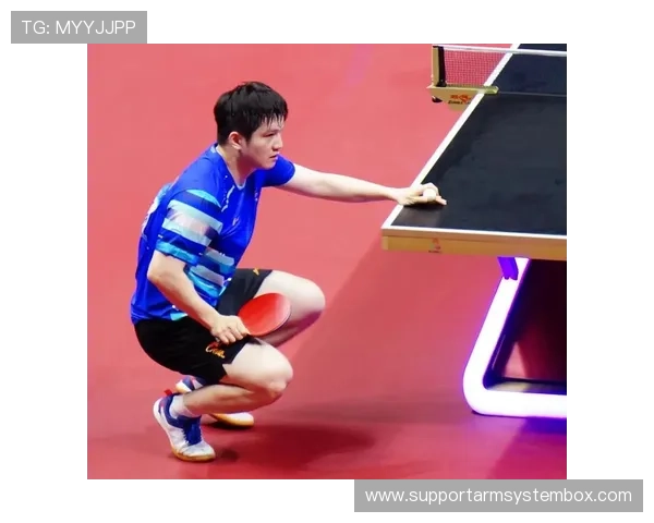 武汉乒乓球队实力强劲最新乒乓球速度排行榜前十名揭晓 武汉乒乓球队实力强劲最新乒乓球速度排行榜前十名揭晓