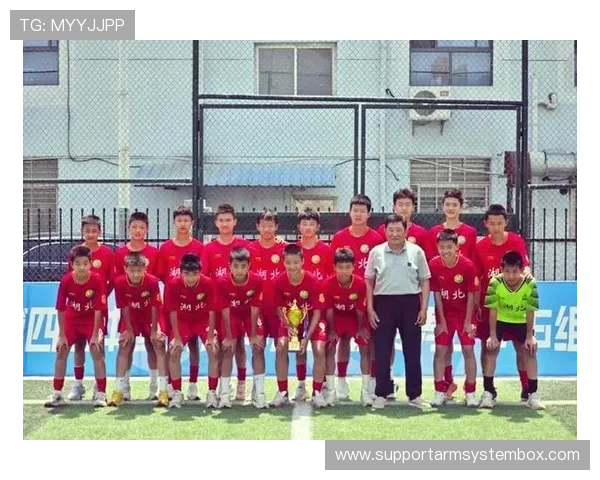 武汉足球明星齐聚一堂精彩足球赛视频回顾与精彩瞬间分享